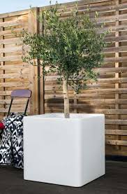 Composition végétale sur contenant design de 600x600x ht 1800 m/m m